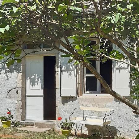 Chez Mialaret Bed and Breakfast Tourniac Esterno foto
