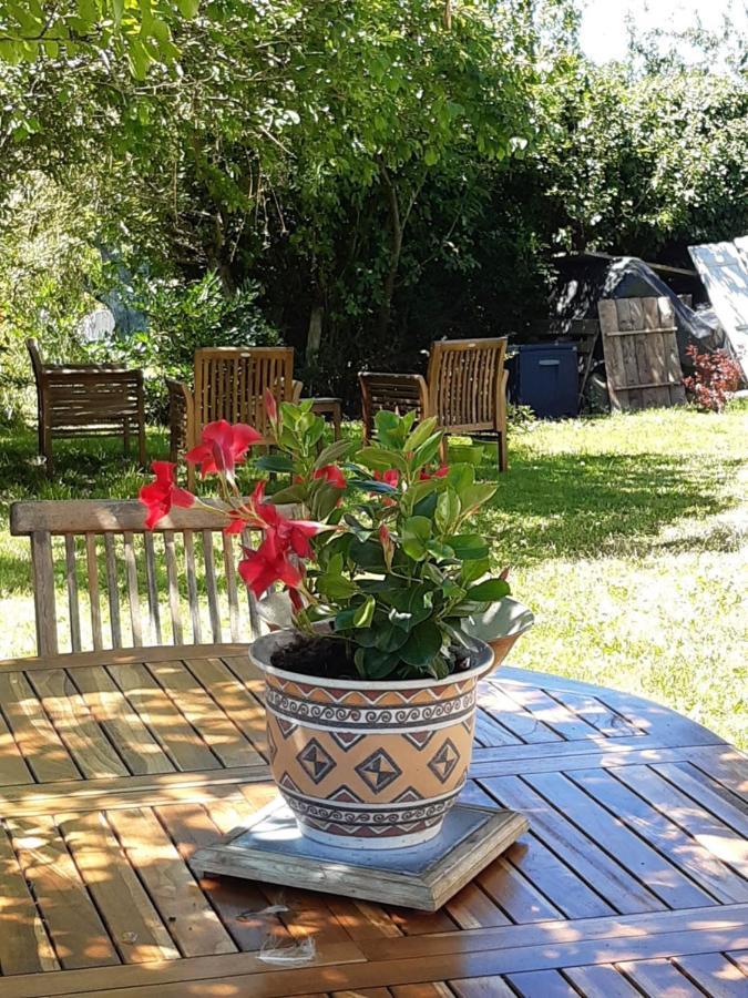 Chez Mialaret Bed and Breakfast Tourniac Esterno foto